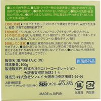 シンエイ 体臭や汗のにおいを防ぐ薬用石ケン100g 4571128837411 100g×10セット（直送品）