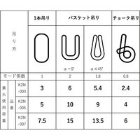 アイビッグ ラウンドスリング ソフトスリング 30962 1本（直送品）