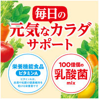 伊藤園 充実野菜 100億個の乳酸菌ミックス エコパック 紙パック 200ml 1セット（48本）【野菜ジュース】