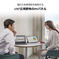 ASUS <MBシリーズ>MB14AC(14型 IPSパネル搭載液晶モニター) MB14AC 1個