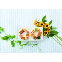 中央軒煎餅 【お中元ギフト・のし付き】中央軒煎餅 花色しおん夏 30T 351586 1セット（直送品）