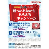 プリマハム 【お中元ギフト・のし付き】プリマハム 国産豚肉使用 匠の膳ギフト TZ-51 424869 1セット（直送品）