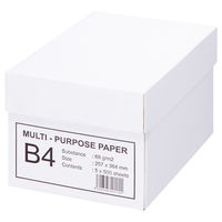 エイピーピー・ジャパン マルチパーパスペーパー コピー用紙 B4（1箱5冊） IKH903