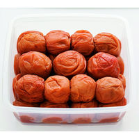 いなみの里梅園 【お中元ギフト・のし付き】いなみの里梅園 紀州産南高梅 くずれ梅(はちみつ味) 962532 1セット（直送品）