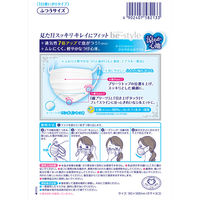 ビースタイル プリーツタイプ 涼やか心地 1パック（7枚入） 白元アース