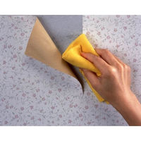 建築の友 耐水性壁紙のりキット 552005 1個