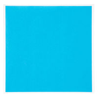 菅公工業 タックカラーシール いろがみ 単色 空 15cm 20枚入 ミ674