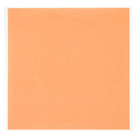 菅公工業 タックカラーシール いろがみ 単色 薄橙 15cm 20枚入 ミ672