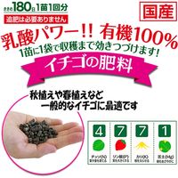 渡辺泰 乳酸発酵　イチゴの肥料　粒状５０ｇ入り×１２袋 WTLP-200287 1セット（12袋入）（直送品）