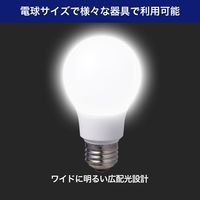 朝日電器 LED電球A形 広配光 LDA7D-G-G5103-2P 1セット(2個入)