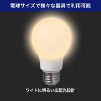 朝日電器 LED電球A形 広配光 LDA7L-G-G5104-2P 1セット(2個入)