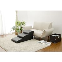 セルタン ドックステップ 3段DBR A386-678DBR 1台（直送品）