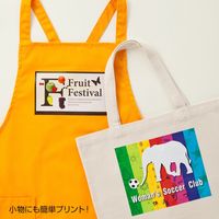 サンワサプライ カラーレーザー用アイロン転写紙(カラー布用) LBP-TPRCLN 1袋(3枚入)（直送品）