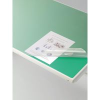 ライオン事務器 バイオマスデスクマット グリーンマット付/バイオマス配合再生塩ビPBKタイプ W600×450mm M-PBK 1枚