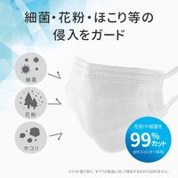 MSソリューションズ 不織布マスク ふつうサイズ 50枚入り PL-FM03WH50EF 2箱（直送品）