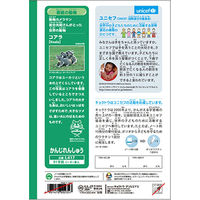 日本ノート かんがえる学習帳 かんじれんしゅう91字 L417 1冊