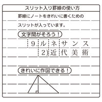 リヒトラブ ツイストノート<専用リーフ・横罫A罫スリット入り> セミB5 29穴 N1600AS 1組