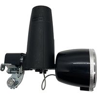 サギサカ LEDブロックランプ ブラック 45691 1個