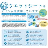 ウェットティッシュ 除菌シートいただきます オゾンで除菌ウェットシート（衛生的な個包装） 100枚/パック 1パック（100枚入）