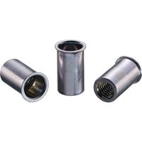 ロブテックス エビナット(スモールフランジ) エコパック スティールボディ NSK5MP 1パック(30個入)