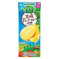 カゴメ 野菜生活100 宮崎月夜実グレープフルーツ＆日向夏ミックス 195ml 1セット（48本）