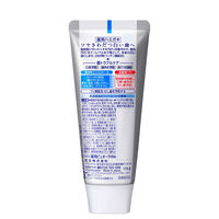 薬用ピュオーラ ナノブライト 115g 花王 歯磨き粉 虫歯・口臭・歯肉炎予防 美白