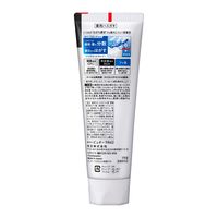 【大容量】 薬用ピュオーラ 歯磨き粉 ストロングミント 虫歯・口臭・歯肉炎予防 170g 1本 花王