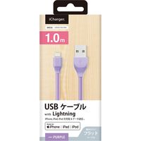 PGA Lightning充電＆通信フラットケーブル1.0m パープル PG-ELFC10M27PP 1本（直送品）