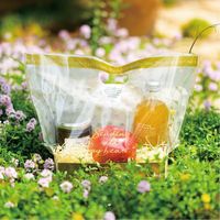 ヘッズ CLエレガントPPスタンドBAG-ゴールド底板付 CEG-OSB2 1セット（200枚：20枚×10パック）