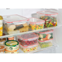 イノマタ化学 フォーロックキーパー レッドD-1300 クリアー #1853 1個