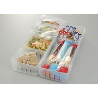 イノマタ化学 フリーザートレー ロング クリアー #375 1個