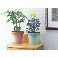 イノマタ化学 #7080 ペアポット グリーン 1個（直送品）