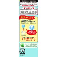 味の素　アジシオ　100g袋　10個
