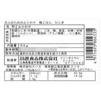 【北野エース】 大人のためのふりかけ 梅ごはん ひじき 1袋