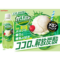 ポッカサッポロ がぶ飲みメロンクリームソーダ 500ml 1箱（24本入）