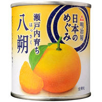 明治屋 日本のめぐみ 瀬戸内育ち 八朔 1セット（3個）
