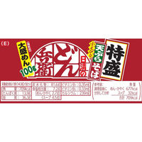 カップ麺 日清のどん兵衛 特盛天ぷらそば（東日本版） 日清食品 12個