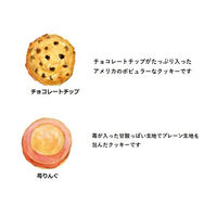 ステラおばさんのクッキー カントリーベアテントボックス（白） ６枚　 1個 アントステラ　手土産　ギフト　母の日　父の日　敬老の日