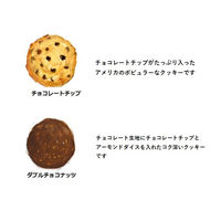 ステラおばさんのクッキー カントリーベアクラフト（白） 1個 アントステラ　手土産　ギフト　母の日　父の日　敬老の日