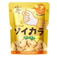 大塚製薬　ソイカラチーズ味　1セット（6袋入）