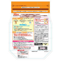 日清製粉ウェルナ 日清 ホームベーカリー用 ふんわり仕上がるパンミックス (580g) ×3個