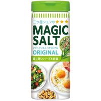 S&B　マジックソルト　80g　2個　エスビー食品