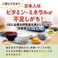 マルチビタミン ミネラル コエンザイムQ10  約30日分(120粒入り)【小林製薬の栄養補助食品】　1袋　サプリメント