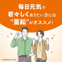 亜鉛 約30日分(60粒入り) 1袋 【小林製薬の栄養補助食品】 サプリメント