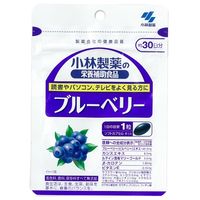 小林製薬の栄養補助食品　ブルーベリー　約30日分　30粒　サプリメント