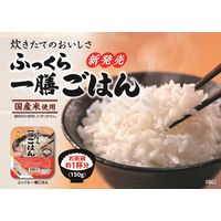 パックごはん 24食 ふっくら一膳ごはん（3食入）× 8個 東洋水産 米加工品 包装米飯