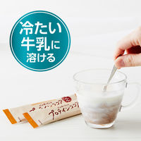 片岡物産 バンホーテン バンホーテンのプロテイン ココア 1箱（5本入）