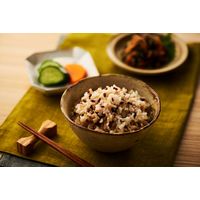 パックごはん18食 発芽玄米ごはん160g 18個幸南食糧