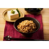 パックごはん18食 金のいぶき玄米ごはん160g 18個幸南食糧