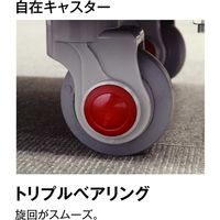 フローバル プロスタイルツール（PROSTYLE TOOL） 樹脂台車用キャスター 300kg用自在 PLA-C125(G) 1個（直送品）